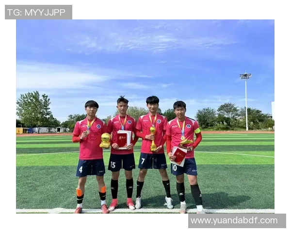 孤独球场上的英雄泪，足球传奇背后的伤感故事